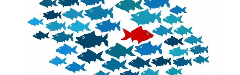 Are mobile app markets too saturated with apps?
